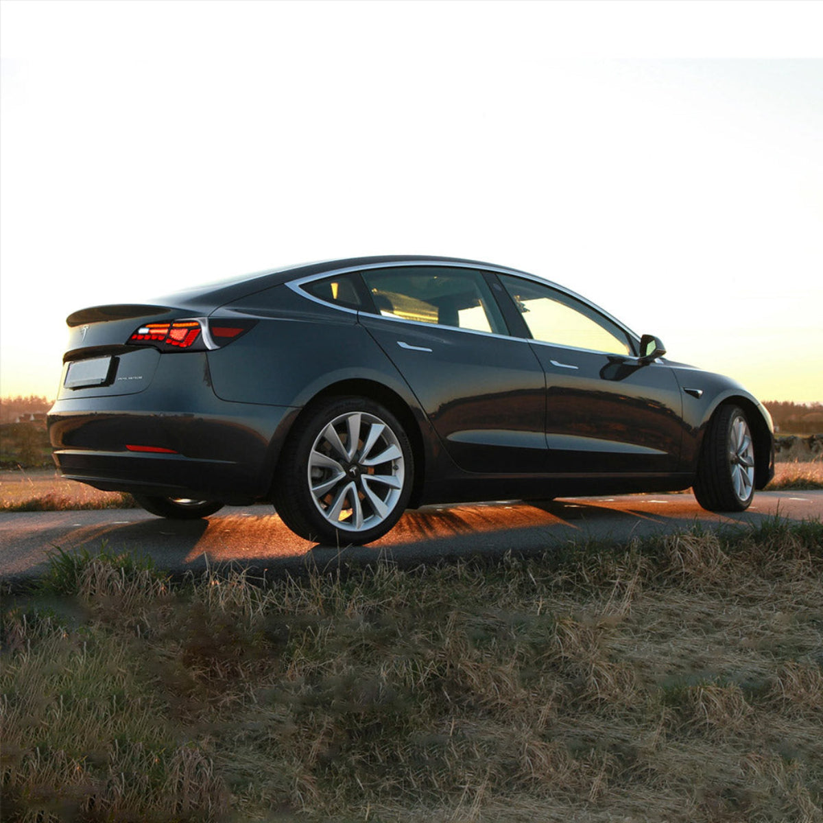 VLAND LED Taillights For 2017-2023 Tesla Model 3 & Tesla Model Y Canada
